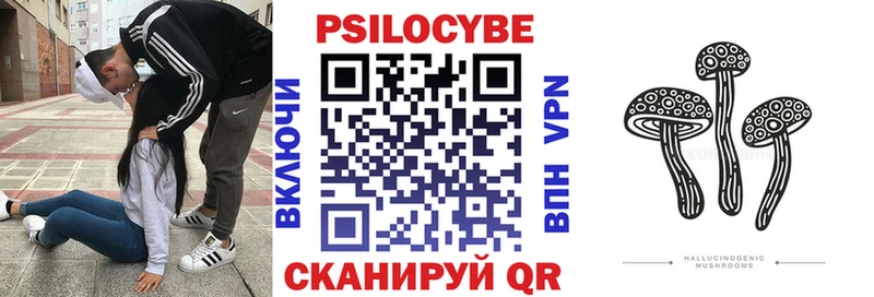 Псилоцибиновые грибы мухоморы Шебекино