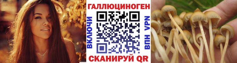Галлюциногенные грибы GOLDEN TEACHER где можно купить Шебекино